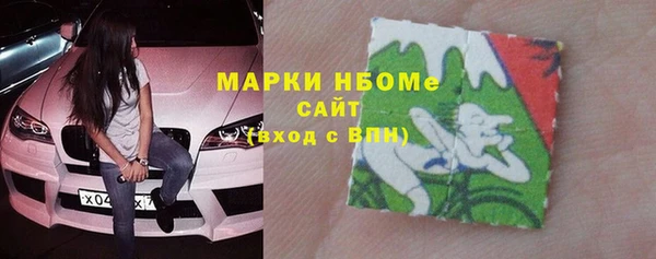 прущие грибы Верея