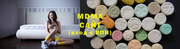 прущие грибы Верея