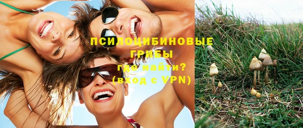 прущие грибы Верея