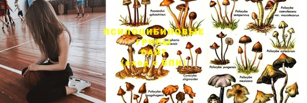 дмт Богородицк