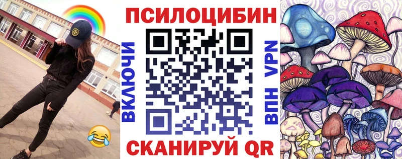 Галлюциногенные грибы Psilocybine cubensis  хочу   Ипатово 