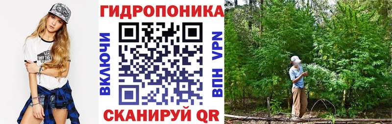 Каннабис MAZAR Ипатово